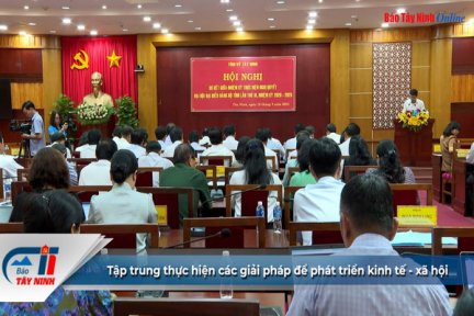 Tập trung thực hiện các giải pháp để phát triển kinh tế - xã hội