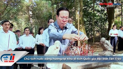 Chủ tịch nước dâng hương tại Khu di tích Quốc gia đặc biệt Tân Trào