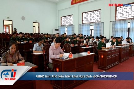 UBND tỉnh: Phổ biến, triển khai Nghị định số 34/2023/NĐ-CP