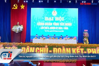 Tâm tư, nguyện vọng của đại biểu gửi đến Đại hội Công đoàn tỉnh Tây Ninh lần thứ X