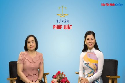 Quy định pháp luật về sử dụng xe ô tô gia đình chở khách