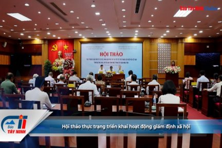 Hội thảo thực trạng triển khai hoạt động giám định xã hội