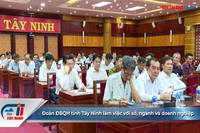 Đoàn ĐBQH tỉnh Tây Ninh làm việc với sở, ngành và doanh nghiệp