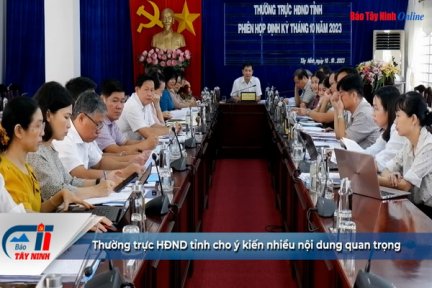 Thường trực HĐND tỉnh cho ý kiến nhiều nội dung quan trọng