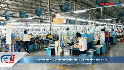 Chỉ có hơn 20% doanh nghiệp FDI phát sinh thuế GTGT