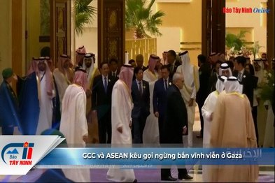 GCC và ASEAN kêu gọi ngừng bắn vĩnh viễn ở Gaza