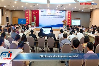 Giải pháp cho doanh nghiệp vừa và nhỏ