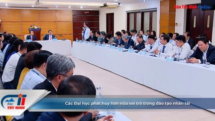 Các Đại học phát huy hơn nữa vai trò trong đào tạo nhân tài