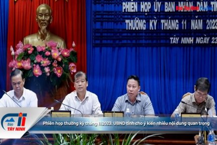 Phiên họp thường kỳ tháng 11.2023: UBND tỉnh cho ý kiến nhiều nội dung quan trọng