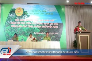 Kiểm lâm 21 tỉnh, thành phía Nam phối hợp bảo vệ rừng