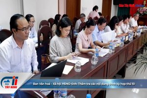 Ban Văn hoá – Xã hội HĐND tỉnh: Thẩm tra các nội dung trình kỳ họp thứ 10