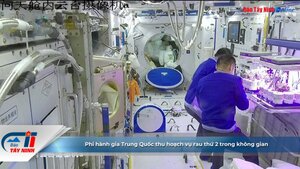 Phi hành gia Trung Quốc thu hoạch vụ rau thứ 2 trong không gian