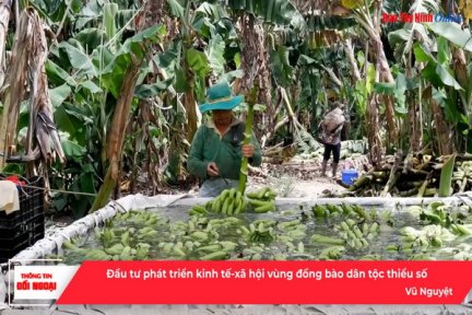 Đầu tư phát triển kinh tế-xã hội vùng đồng bào dân tộc thiểu số