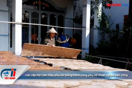 Các cấp Hội Liên hiệp phụ nữ: Đồng hành cùng phụ nữ thoát nghèo bền vững