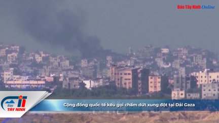 Cộng đồng quốc tế kêu gọi chấm dứt xung đột tại Dải Gaza