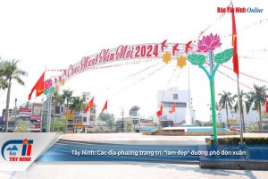 Tây Ninh: Các địa phương trang trí, "làm đẹp" đường phố đón xuân