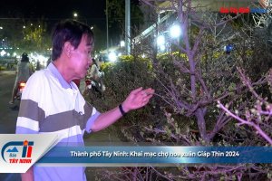 Thành phố Tây Ninh: Khai mạc chợ hoa xuân Giáp Thìn 2024