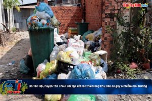 Xã Tân Hội, huyện Tân Châu: Bãi tập kết rác thải trong khu dân cư gây ô nhiễm môi trường