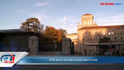 WTO đưa ra dự thảo trợ cấp nghề cá mới