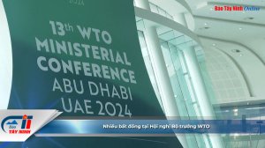 Nhiều bất đồng tại Hội nghị Bộ trưởng WTO