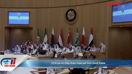 GCC và Ai Cập thảo luận về tình hình Gaza