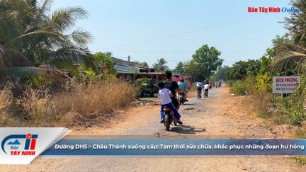 Đường DH5 – Châu Thành xuống cấp: Tạm thời sửa chữa, khắc phục những đoạn hư hỏng