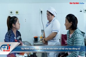 Tây Ninh: Thực hiện tốt chế độ bảo hiểm xã hội cho lao động nữ