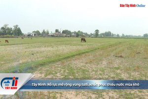 Tây Ninh: Nỗ lực mở rộng vùng tưới, khắc phục thiếu nước mùa khô