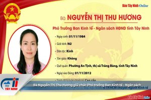 Bà Nguyễn Thị Thu Hương giữ chức Phó trưởng Ban Kinh tế - Ngân sách