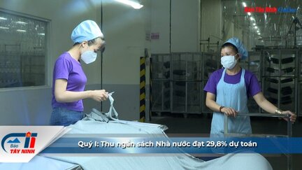 Quý I: Thu ngân sách Nhà nước đạt 29,8% dự toán