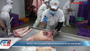 Việt Nam nằm trong tốp 10 quốc gia tiêu thụ thịt heo lớn nhất thế giới