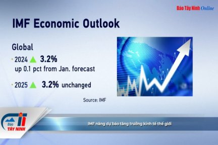 IMF nâng dự báo tăng trưởng kinh tế thế giới