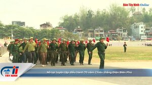 Nỗ lực luyện tập diễu hành 70 năm Chiến thắng Điện Biên Phủ