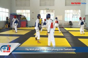 Tây Ninh phát triển mạnh phong trào Taekwondo
