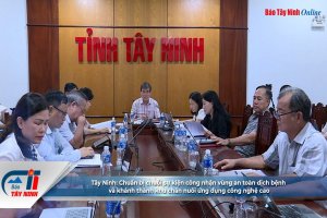 Tây Ninh: Chuẩn bị chuỗi sự kiện công nhận vùng an toàn dịch bệnh và khánh thành khu chăn nuôi ứng dụng công nghệ cao