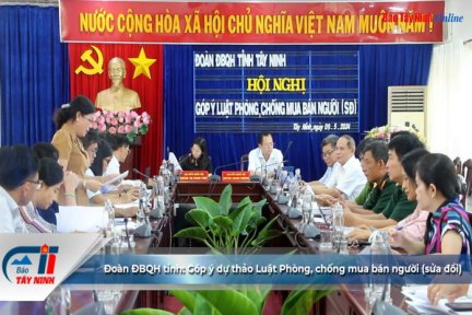 Đoàn ĐBQH tỉnh: Góp ý dự thảo Luật Phòng, chống mua bán người (sửa đổi)