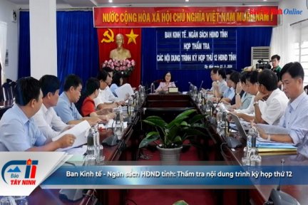 Ban Kinh tế - Ngân sách HĐND tỉnh: Thẩm tra nội dung trình kỳ họp thứ 12