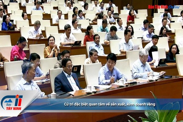 Cử tri đặc biệt quan tâm về sản xuất, kinh doanh vàng
