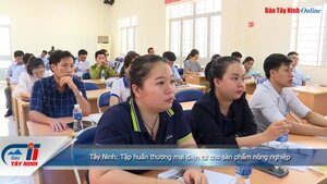 Tây Ninh: Tập huấn thương mại điện tử cho sản phẩm nông nghiệp