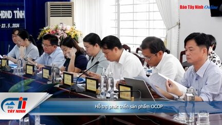 Hỗ trợ phát triển sản phẩm OCOP