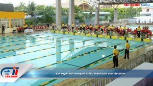 Đội tuyển bơi mang về nhiều thành tích cho Việt Nam