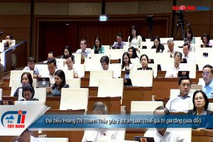 Đại biểu Hoàng Thị Thanh Thúy góp ý dự án Luật Thuế giá trị gia tăng (sửa đổi)