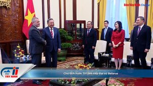 Chủ tịch nước Tô Lâm tiếp Đại sứ Belarus