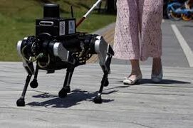 Chó robot dẫn đường cho người khiếm thị