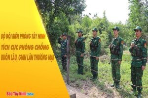 Bộ đội Biên phòng Tây Ninh tích cực phòng chống buôn lậu, gian lận thương mại