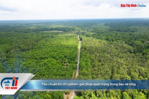 Tiêu chuẩn tín chỉ carbon- giải pháp quan trọng trong bảo vệ rừng