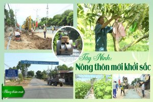 Tây Ninh: Nông thôn mới khởi sắc