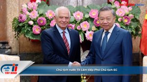 Chủ tịch nước Tô Lâm tiếp Phó Chủ tịch EC