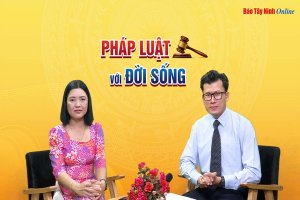 Phòng, chống bạo lực gia đình