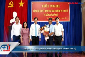 Ông Lê Anh Tuấn giữ chức vụ Phó trưởng Ban Tổ chức Tỉnh uỷ